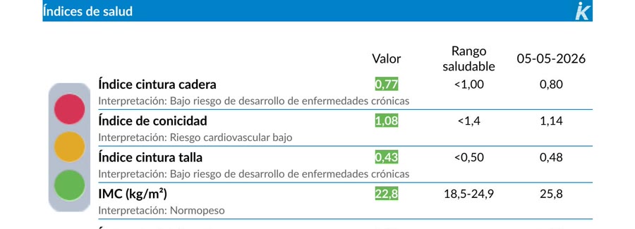 Índices de salud de un informe ISAK real